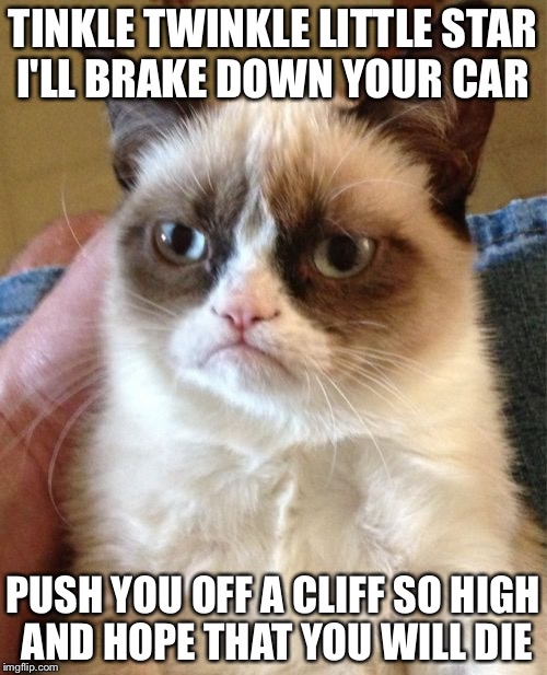 Grumpy Cat | TINKLE TWINKLE LITTLE STAR I'LL BRAKE DOWN YOUR CAR; PUSH YOU OFF A CLIFF SO HIGH AND HOPE THAT YOU WILL DIE | image tagged in memes,grumpy cat | made w/ Imgflip meme maker