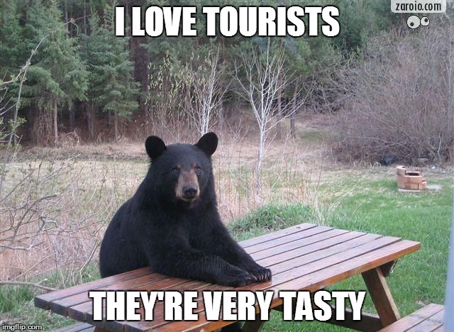 And now a word from Smokey's cousin | I LOVE TOURISTS; THEY'RE VERY TASTY | image tagged in why you problem,funny memes,run,watch out guys,yikes | made w/ Imgflip meme maker