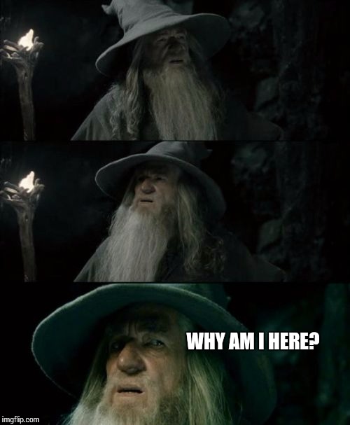Confused Gandalf Meme | WHY AM I HERE? | image tagged in memes,confused gandalf | made w/ Imgflip meme maker
