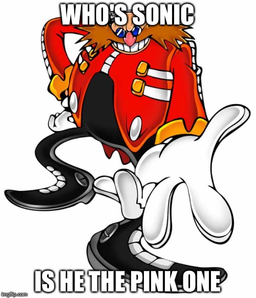 Dr.eggman | WHO'S SONIC; IS HE THE PINK ONE | image tagged in dreggman | made w/ Imgflip meme maker