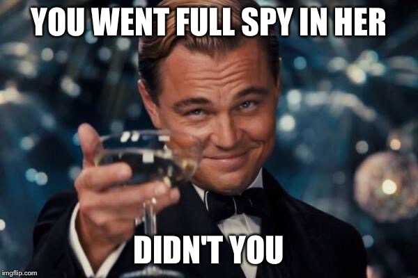 Leonardo Dicaprio Cheers Meme | YOU WENT FULL SPY IN HER DIDN'T YOU | image tagged in memes,leonardo dicaprio cheers | made w/ Imgflip meme maker