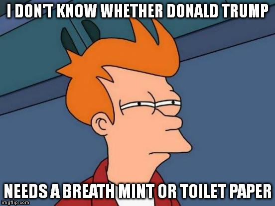 Sure talks a lot of shit | I DON'T KNOW WHETHER DONALD TRUMP; NEEDS A BREATH MINT OR TOILET PAPER | image tagged in memes,futurama fry | made w/ Imgflip meme maker