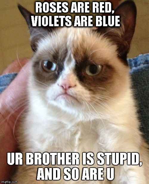 Grumpy Cat Meme | ROSES ARE RED, VIOLETS ARE BLUE; UR BROTHER IS STUPID, AND SO ARE U | image tagged in memes,grumpy cat | made w/ Imgflip meme maker
