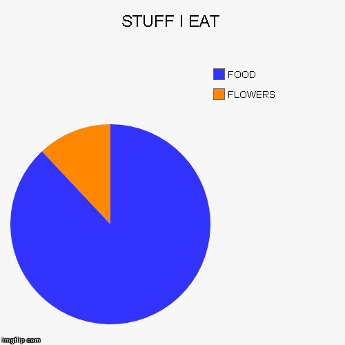 image tagged in funny,pie charts | made w/ Imgflip chart maker