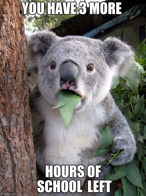 Surprised Koala | YOU HAVE 3 MORE; HOURS OF SCHOOL  LEFT | image tagged in memes,surprised koala | made w/ Imgflip meme maker