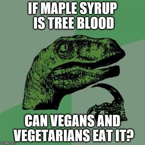 Philosoraptor | IF MAPLE SYRUP IS TREE BLOOD; CAN VEGANS AND VEGETARIANS EAT IT? | image tagged in memes,philosoraptor,maple syrup,food,vegan,vegetarian | made w/ Imgflip meme maker
