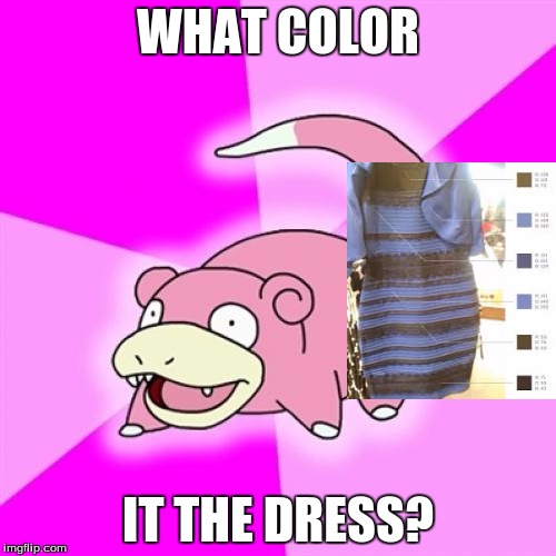 Slowpoke Meme | WHAT COLOR; IT THE DRESS? | image tagged in memes,slowpoke | made w/ Imgflip meme maker