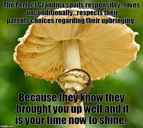 The Perfect Grandma spoils responsibly...loves unconditionally...respects their parents choices regarding their upbringing... Because they know they brought you up well and it is your time now to shine... | image tagged in grandma | made w/ Imgflip meme maker