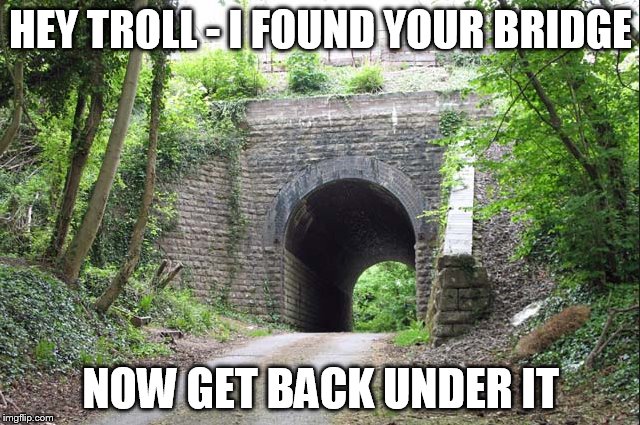 HEY TROLL - I FOUND YOUR BRIDGE; NOW GET BACK UNDER IT | made w/ Imgflip meme maker