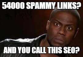 Kevin Hart Meme | 54000 SPAMMY LINKS? AND YOU CALL THIS SEO? | image tagged in memes,kevin hart the hell | made w/ Imgflip meme maker