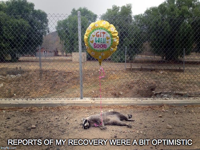 Ughhh. I'm still sick.  | REPORTS OF MY RECOVERY WERE A BIT OPTIMISTIC | image tagged in road kill,road kill with balloon,reports of my recovery | made w/ Imgflip meme maker