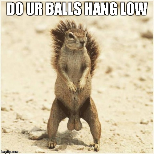 DEEZ NUTS | DO UR BALLS HANG LOW | image tagged in deez nuts | made w/ Imgflip meme maker