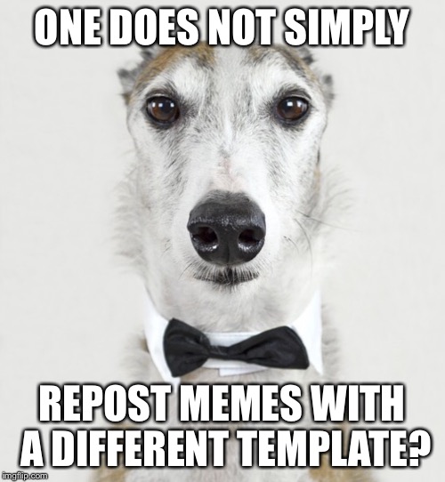 GREYHOUND | ONE DOES NOT SIMPLY; REPOST MEMES WITH A DIFFERENT TEMPLATE? | image tagged in greyhound | made w/ Imgflip meme maker