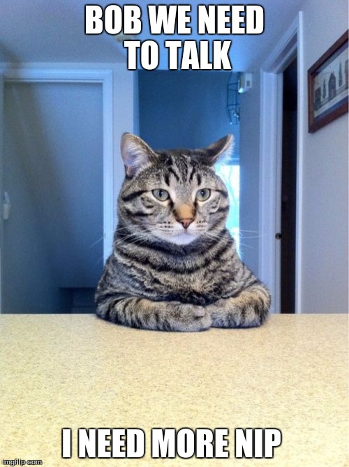 Take A Seat Cat Meme | BOB WE NEED TO TALK; I NEED MORE NIP | image tagged in memes,take a seat cat | made w/ Imgflip meme maker