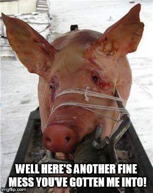 WELL HERE'S ANOTHER FINE MESS YOU'VE GOTTEN ME INTO! | image tagged in pig on a spit | made w/ Imgflip meme maker