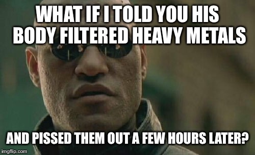 Matrix Morpheus Meme | WHAT IF I TOLD YOU HIS BODY FILTERED HEAVY METALS AND PISSED THEM OUT A FEW HOURS LATER? | image tagged in memes,matrix morpheus | made w/ Imgflip meme maker