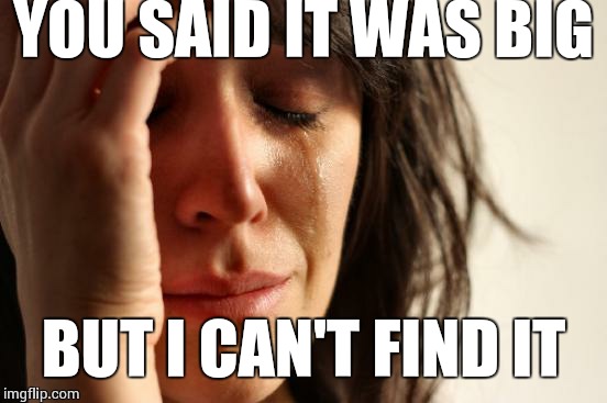 First World Problems Meme | YOU SAID IT WAS BIG; BUT I CAN'T FIND IT | image tagged in memes,first world problems | made w/ Imgflip meme maker