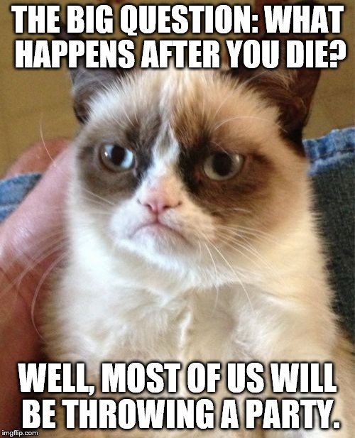 Grumpy Cat | THE BIG QUESTION: WHAT HAPPENS AFTER YOU DIE? WELL, MOST OF US WILL BE THROWING A PARTY. | image tagged in memes,grumpy cat | made w/ Imgflip meme maker