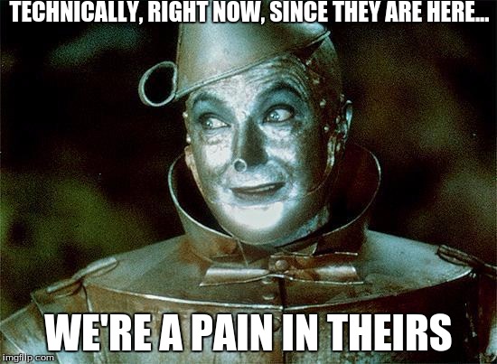 Tin Man Just Sayin' | TECHNICALLY, RIGHT NOW, SINCE THEY ARE HERE... WE'RE A PAIN IN THEIRS | image tagged in tin man just sayin' | made w/ Imgflip meme maker
