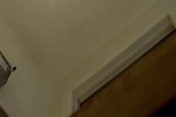 SkyDERP | image tagged in gifs,funny,derp | made w/ Imgflip video-to-gif maker