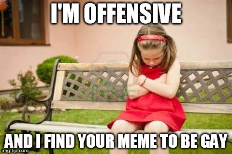 I'M OFFENSIVE AND I FIND YOUR MEME TO BE GAY | made w/ Imgflip meme maker