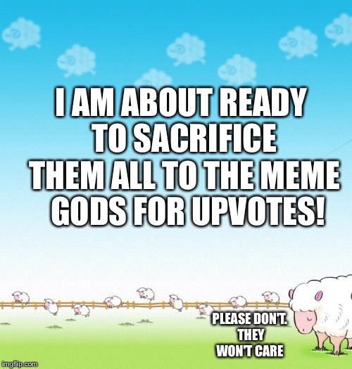 LIGHTHEARTED SHEEP | I AM ABOUT READY TO SACRIFICE THEM ALL TO THE MEME GODS FOR UPVOTES! PLEASE DON'T. THEY WON'T CARE | image tagged in lighthearted sheep | made w/ Imgflip meme maker