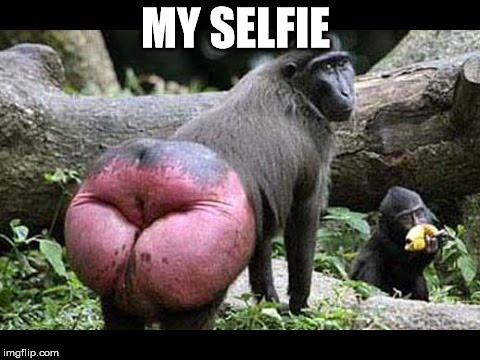 my selfie | MY SELFIE | image tagged in baboon | made w/ Imgflip meme maker