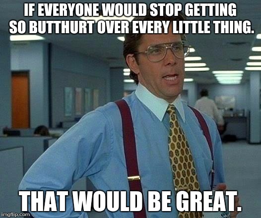 That Would Be Great Meme | IF EVERYONE WOULD STOP GETTING SO BUTTHURT OVER EVERY LITTLE THING. THAT WOULD BE GREAT. | image tagged in memes,that would be great | made w/ Imgflip meme maker