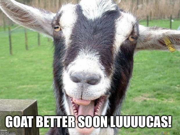 Funny Goat | GOAT BETTER SOON LUUUUCAS! | image tagged in funny goat | made w/ Imgflip meme maker