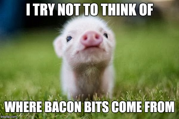 Is this where Bacon Bits come from? | I TRY NOT TO THINK OF; WHERE BACON BITS COME FROM | image tagged in bacon meme,memes,funny | made w/ Imgflip meme maker