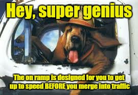 Learn how to merge in to traffic | Hey, super genius; The on ramp is designed for you to get up to speed BEFORE you merge into traffic | image tagged in learn how to merge,dog,dogs,driving | made w/ Imgflip meme maker