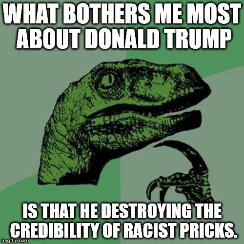 Philosoraptor | WHAT BOTHERS ME MOST ABOUT DONALD TRUMP; IS THAT HE DESTROYING THE CREDIBILITY OF RACIST PRICKS. | image tagged in memes,philosoraptor | made w/ Imgflip meme maker