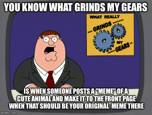 Peter Griffin News Meme | YOU KNOW WHAT GRINDS MY GEARS; IS WHEN SOMEONE POSTS A "MEME" OF A CUTE ANIMAL AND MAKE IT TO THE FRONT PAGE WHEN THAT SHOULD BE YOUR ORIGINAL  MEME THERE | image tagged in memes,peter griffin news | made w/ Imgflip meme maker