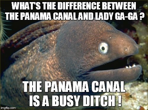 Bad Joke Eel Meme | WHAT'S THE DIFFERENCE BETWEEN THE PANAMA CANAL AND LADY GA-GA ? THE PANAMA CANAL IS A BUSY DITCH ! | image tagged in memes,bad joke eel | made w/ Imgflip meme maker