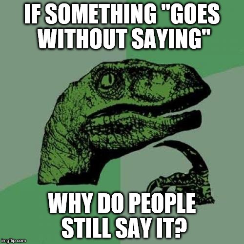 Philosoraptor Meme | IF SOMETHING "GOES WITHOUT SAYING"; WHY DO PEOPLE STILL SAY IT? | image tagged in memes,philosoraptor | made w/ Imgflip meme maker