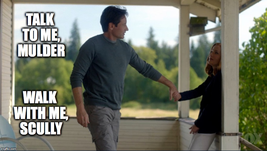 WalkWithMeScully | TALK TO ME, MULDER; WALK WITH ME, SCULLY | image tagged in x-files | made w/ Imgflip meme maker