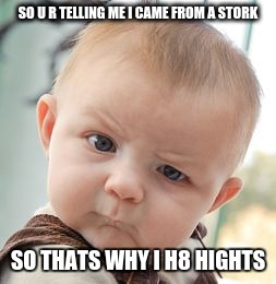 Skeptical Baby Meme | SO U R TELLING ME I CAME FROM A STORK; SO THATS WHY I H8 HIGHTS | image tagged in memes,skeptical baby | made w/ Imgflip meme maker