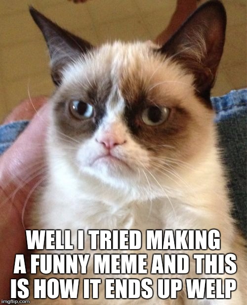 Grumpy Cat Meme | WELL I TRIED MAKING A FUNNY MEME AND THIS IS HOW IT ENDS UP WELP | image tagged in memes,grumpy cat | made w/ Imgflip meme maker