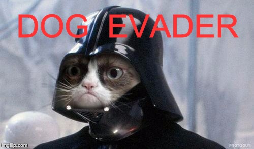 Grumpy Cat Star Wars Meme | DOG  EVADER | image tagged in memes,grumpy cat star wars,grumpy cat | made w/ Imgflip meme maker