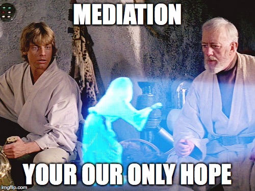 Princess Leia | MEDIATION; YOUR OUR ONLY HOPE | image tagged in princess leia | made w/ Imgflip meme maker