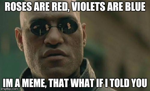 Matrix Morpheus Meme | ROSES ARE RED, VIOLETS ARE BLUE; IM A MEME, THAT WHAT IF I TOLD YOU | image tagged in memes,matrix morpheus | made w/ Imgflip meme maker