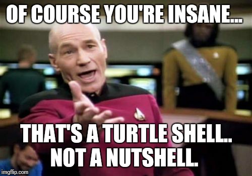 Picard Wtf Meme | OF COURSE YOU'RE INSANE... THAT'S A TURTLE SHELL.. NOT A NUTSHELL. | image tagged in memes,picard wtf | made w/ Imgflip meme maker
