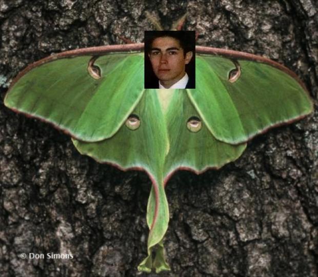 Andrew De Luna Moth Blank Meme Template