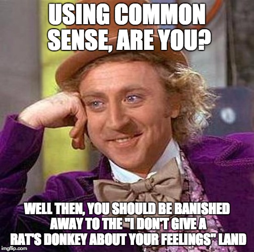 Creepy Condescending Wonka Meme | USING COMMON SENSE, ARE YOU? WELL THEN, YOU SHOULD BE BANISHED AWAY TO THE "I DON'T GIVE A RAT'S DONKEY ABOUT YOUR FEELINGS" LAND | image tagged in memes,creepy condescending wonka | made w/ Imgflip meme maker