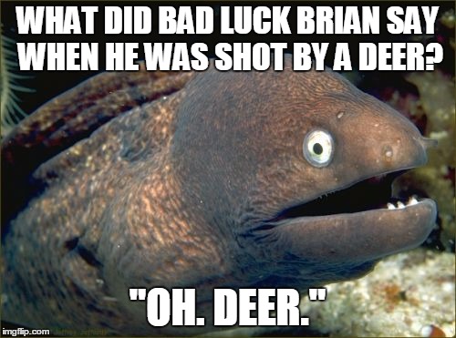 WHAT DID BAD LUCK BRIAN SAY WHEN HE WAS SHOT BY A DEER? "OH. DEER." | made w/ Imgflip meme maker