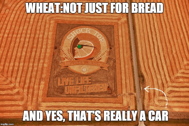 WHEAT:NOT JUST FOR BREAD AND YES, THAT'S REALLY A CAR | image tagged in shock-top field | made w/ Imgflip meme maker