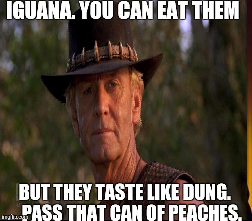 IGUANA. YOU CAN EAT THEM BUT THEY TASTE LIKE DUNG.    PASS THAT CAN OF PEACHES. | made w/ Imgflip meme maker