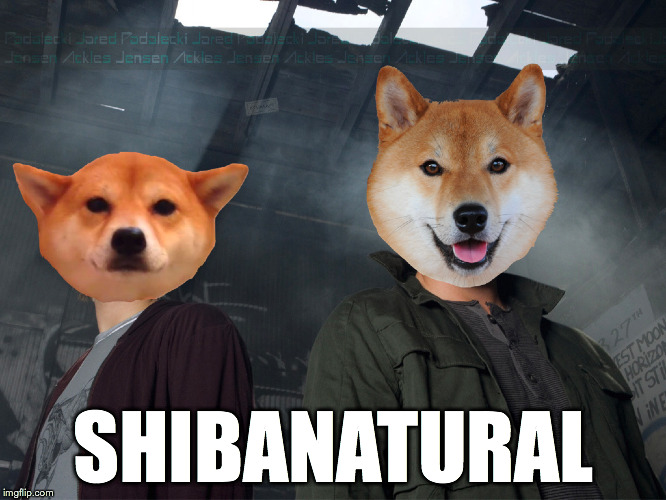 Shibanatural | SHIBANATURAL | image tagged in memes,funny memes,sam winchester,supernatural,doge,supernatural dean | made w/ Imgflip meme maker