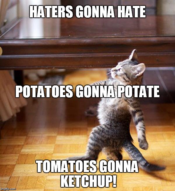 My philosophy on life | HATERS GONNA HATE; POTATOES GONNA POTATE; TOMATOES GONNA KETCHUP! | image tagged in haters gonna hate,haters,funny,clever,bad puns | made w/ Imgflip meme maker
