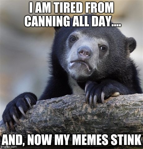 Confession Bear | I AM TIRED FROM CANNING ALL DAY.... AND, NOW MY MEMES STINK | image tagged in memes,confession bear | made w/ Imgflip meme maker